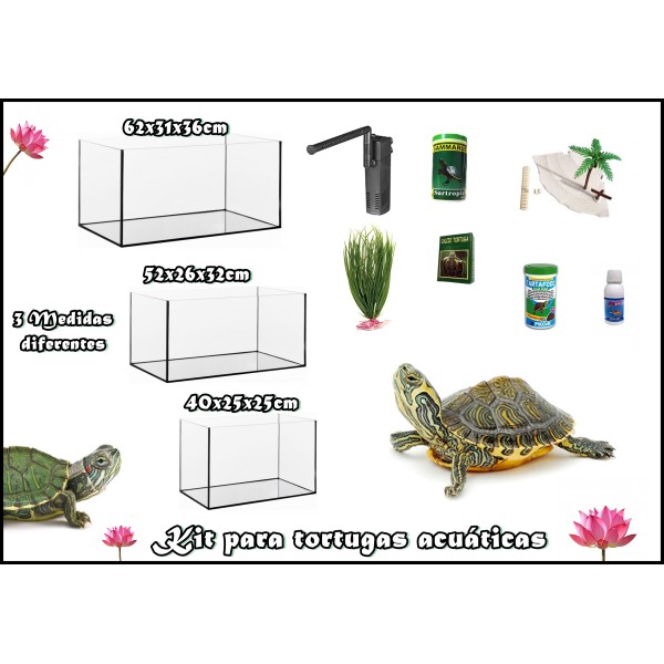 Comprar Kit completo Tortugas acuaticas | Animales exóticos | Mascotas  Algama